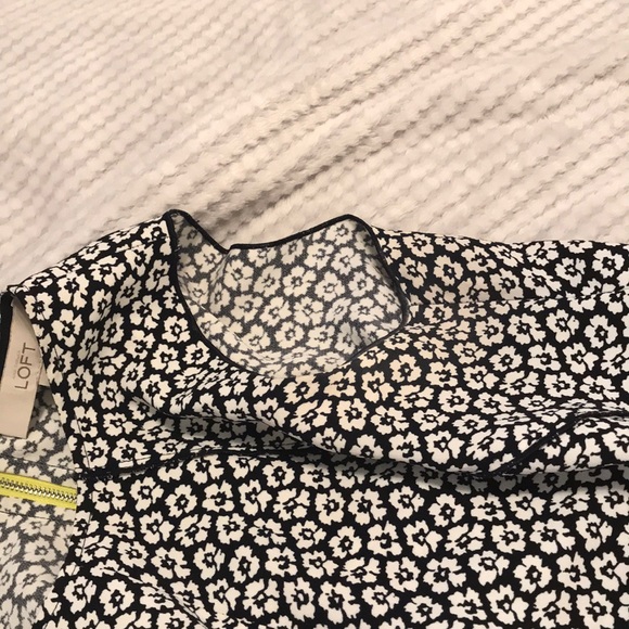 Meet your Posher, Abby - Picture 3 of 3